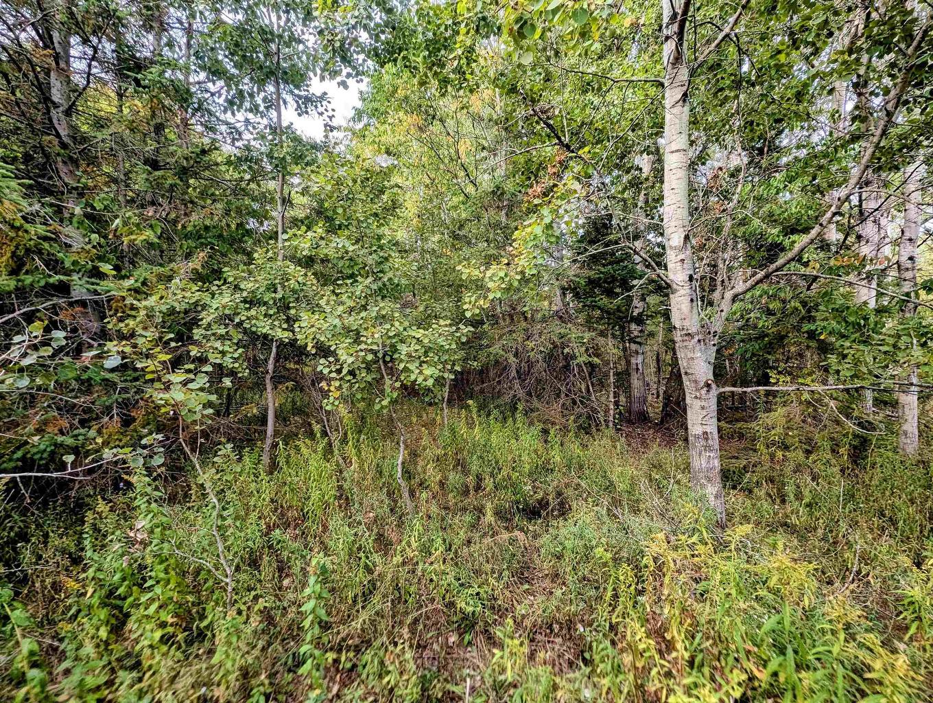 Lot 4 Avon Spirit Lane, Avondale, NS