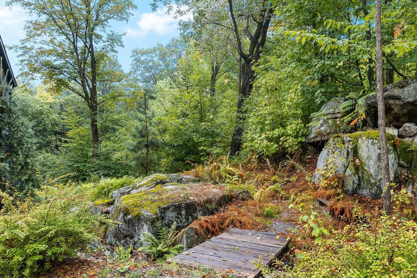 Cour - 43 Rue Ducharme, Shefford, QC - Outdoor