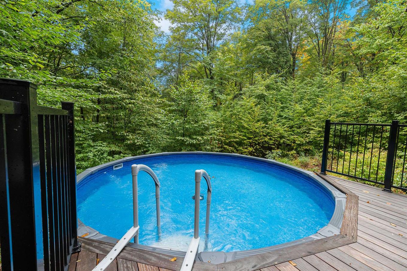 Piscine - 43 Rue Ducharme, Shefford, QC - Outdoor With Above Ground Pool