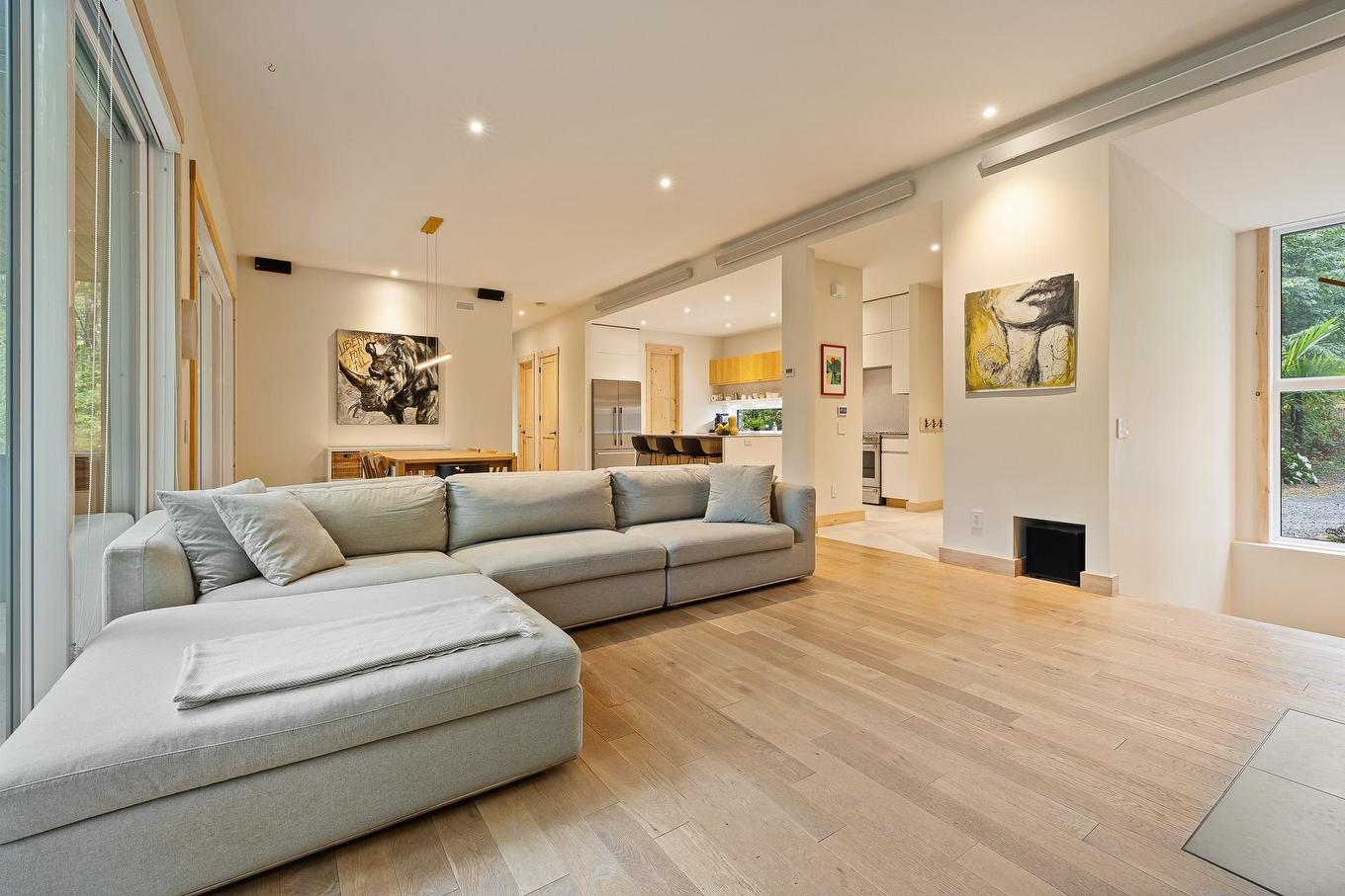 Salon - 43 Rue Ducharme, Shefford, QC - Indoor Photo Showing Living Room
