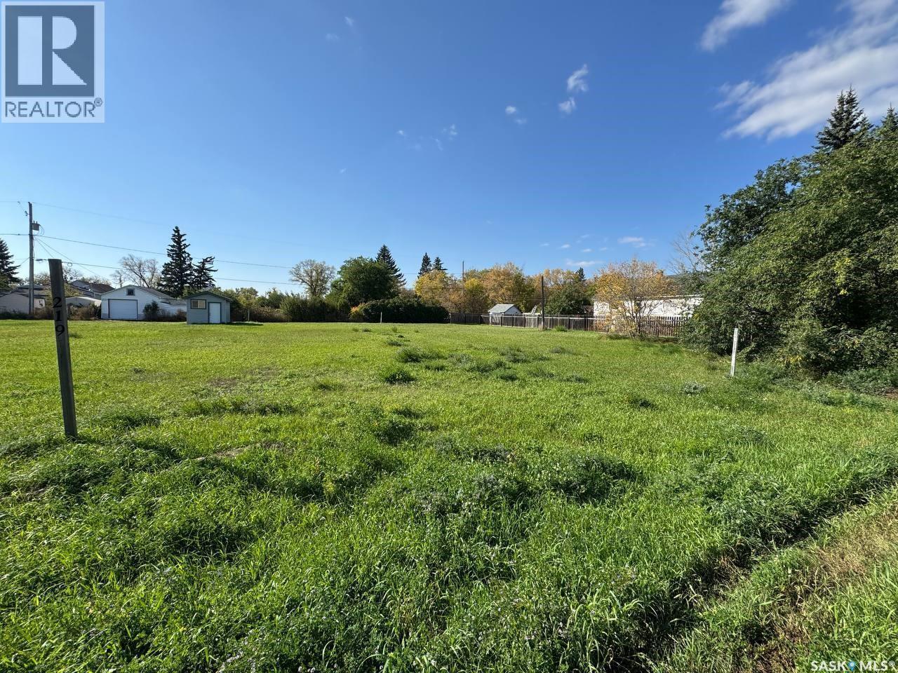 217 James Street, Radisson, SK