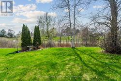 Relax and enjoy your green views -