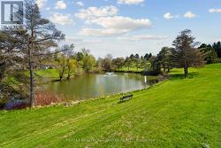 Large Pond in the community -