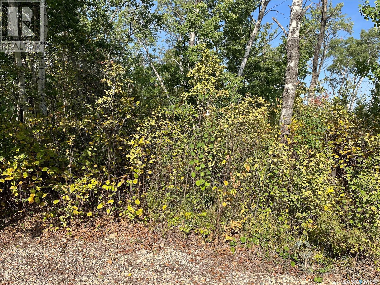 645 Willow Point Way, St. Brieux, SK