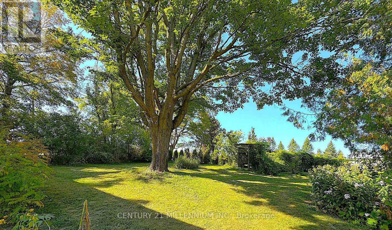 598323 2Nd Line W, Mulmur, ON - Outdoor