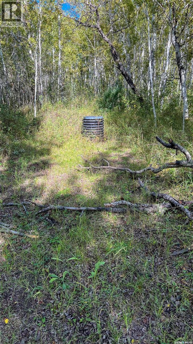 Edam Quarter, Turtle River Rm No. 469, SK