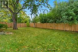 Huge Yard -