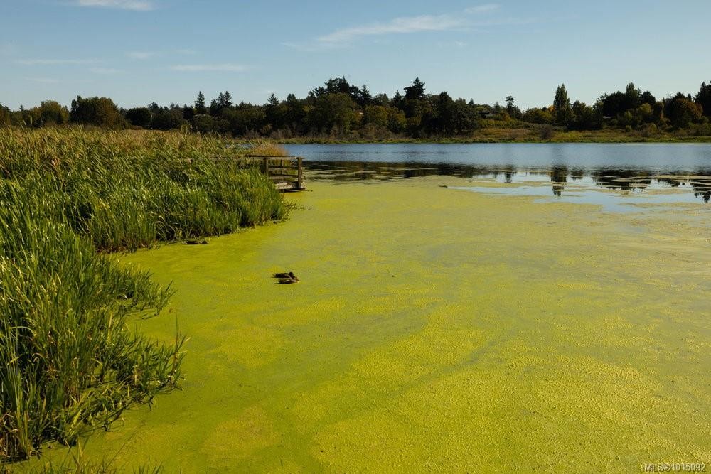 997 Karen Cres, Saanich, BC