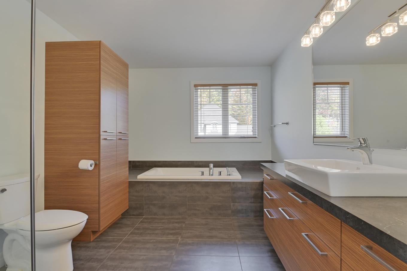 Salle de bains - 1539 Rue Du Layon, Lévis (Les Chutes-De-La-Chaudière-Ouest), QC - Indoor Photo Showing Bathroom