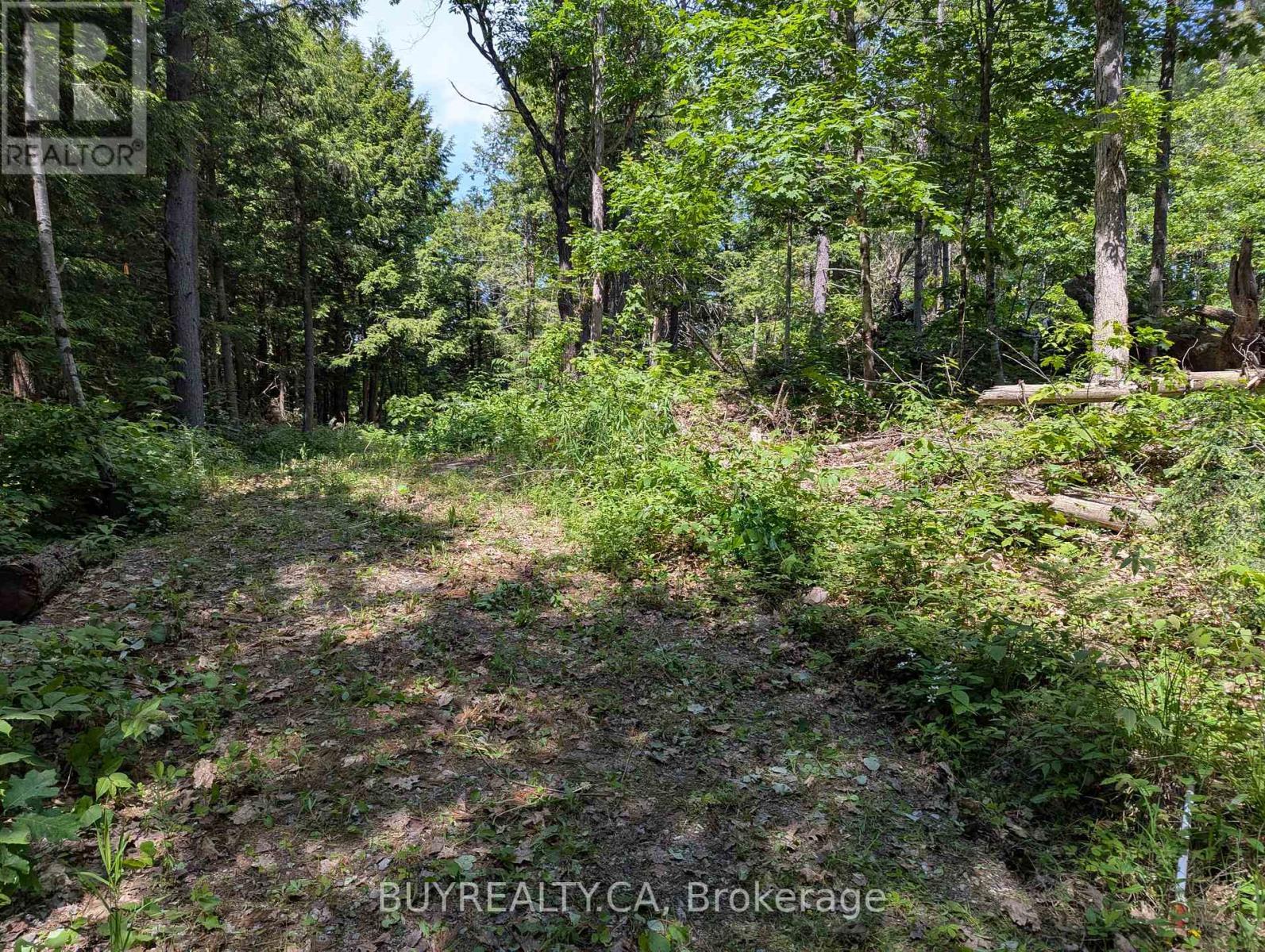 2318 Sherwood Forest Lane, Severn, ON