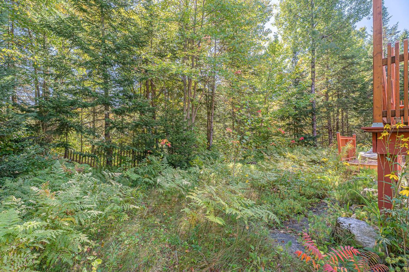 Land/Lot - 1996 Av. J.-C.-Cloutier, Sainte-Lucie-Des-Laurentides, QC - Outdoor