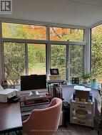 View from condo office windows of trees/ravine -