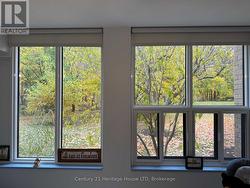 bedroom 2 view of trees/ravine -