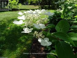 AWARD WINNING GARDENS -