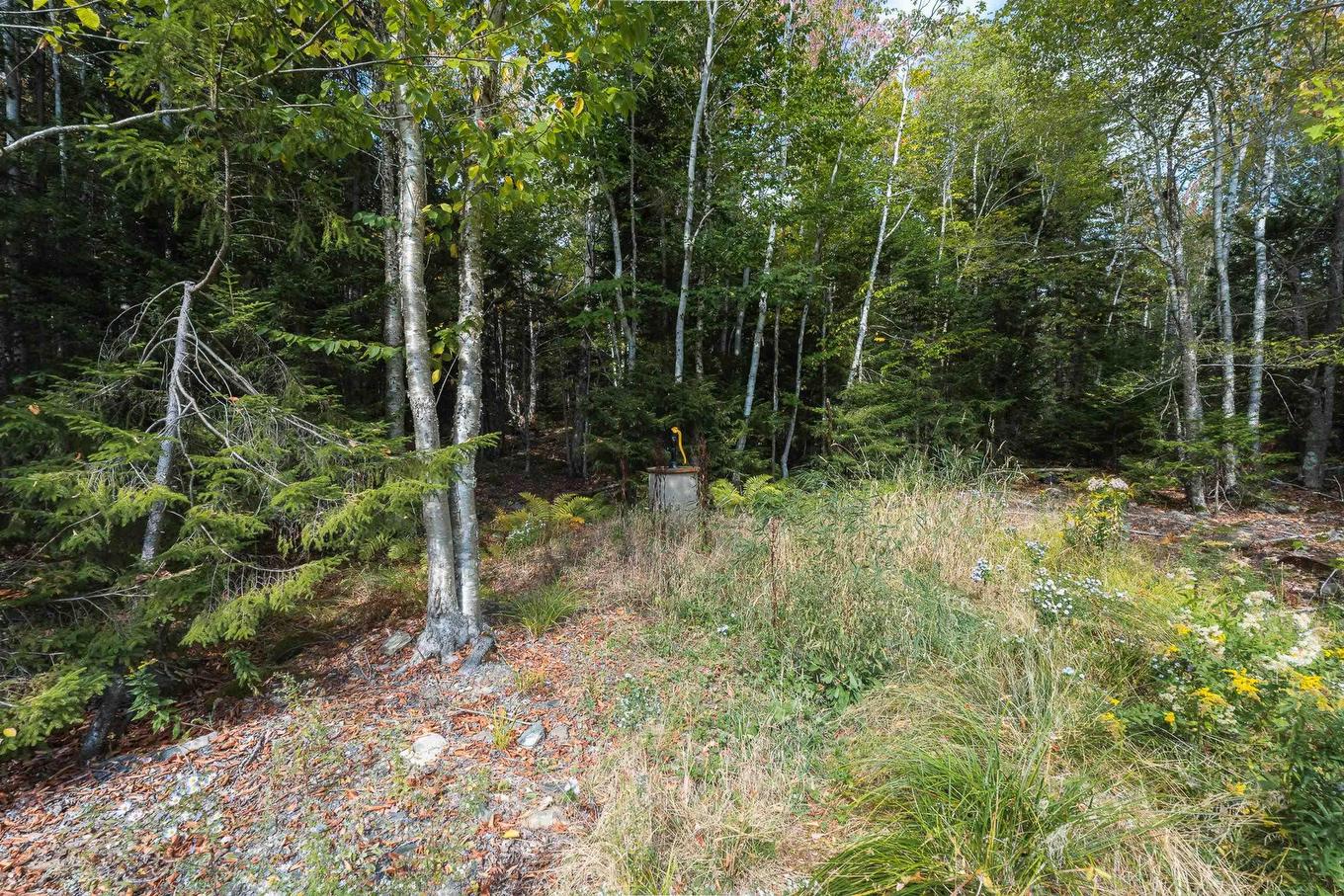 421 Lake Drive, Tupper Lake, NS