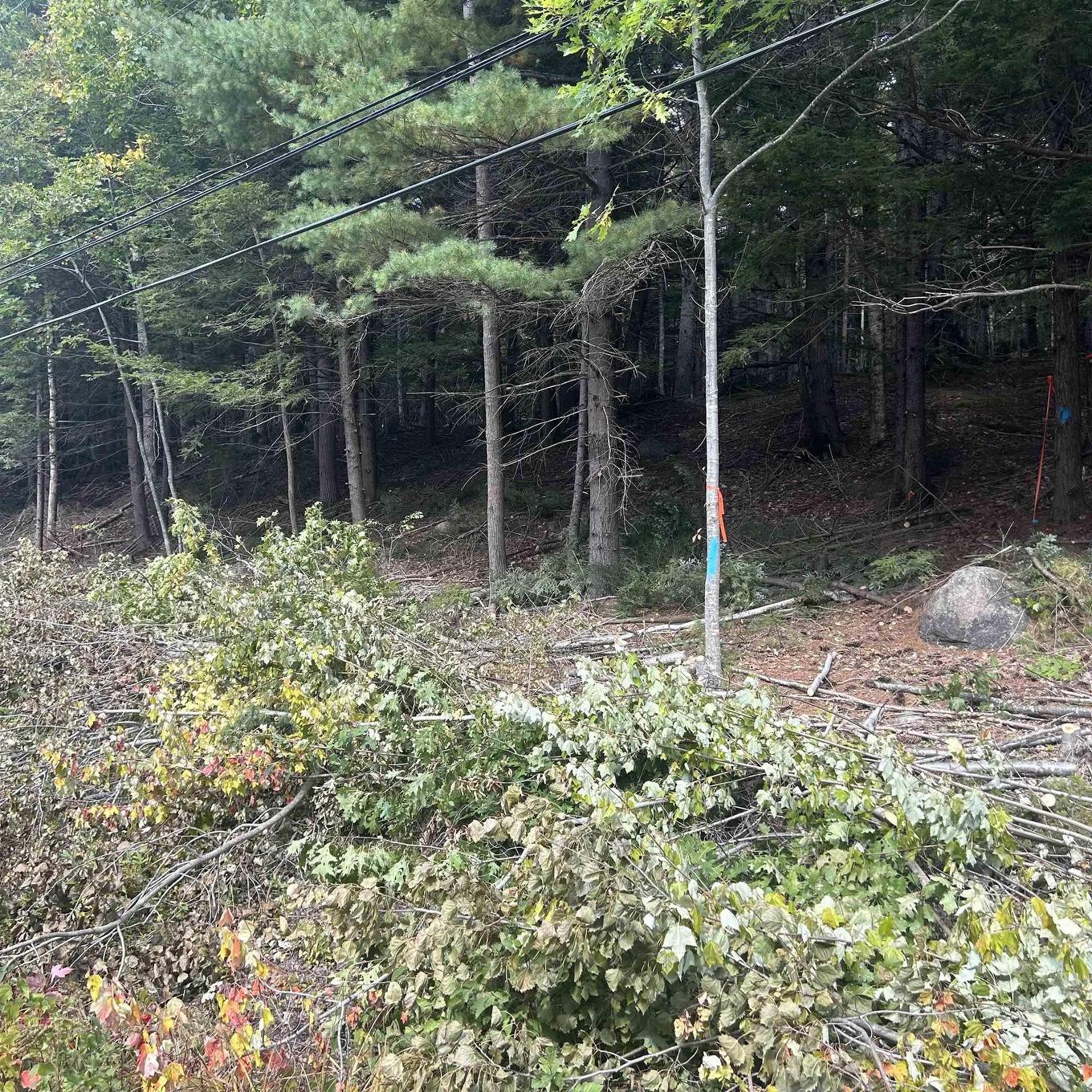 Lot 25-3 Conquerall Mills Road, Conquerall Mills, NS