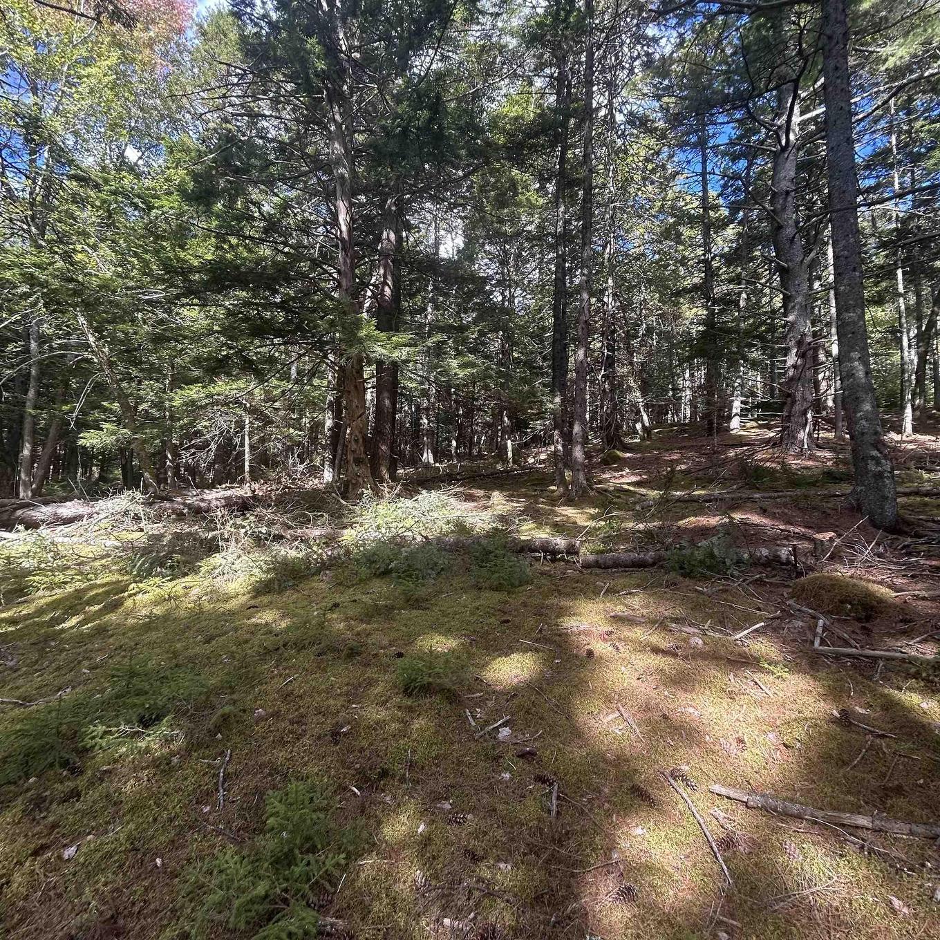 Lot 25-3 Conquerall Mills Road, Conquerall Mills, NS