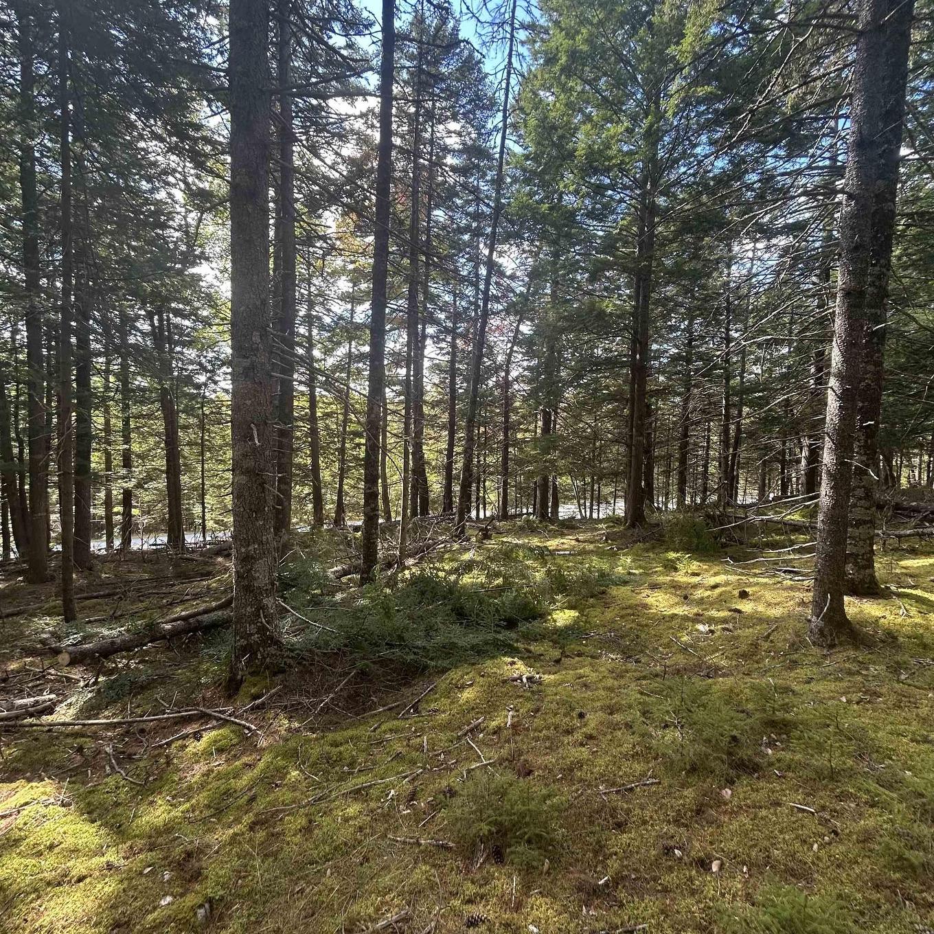 Lot 25-3 Conquerall Mills Road, Conquerall Mills, NS