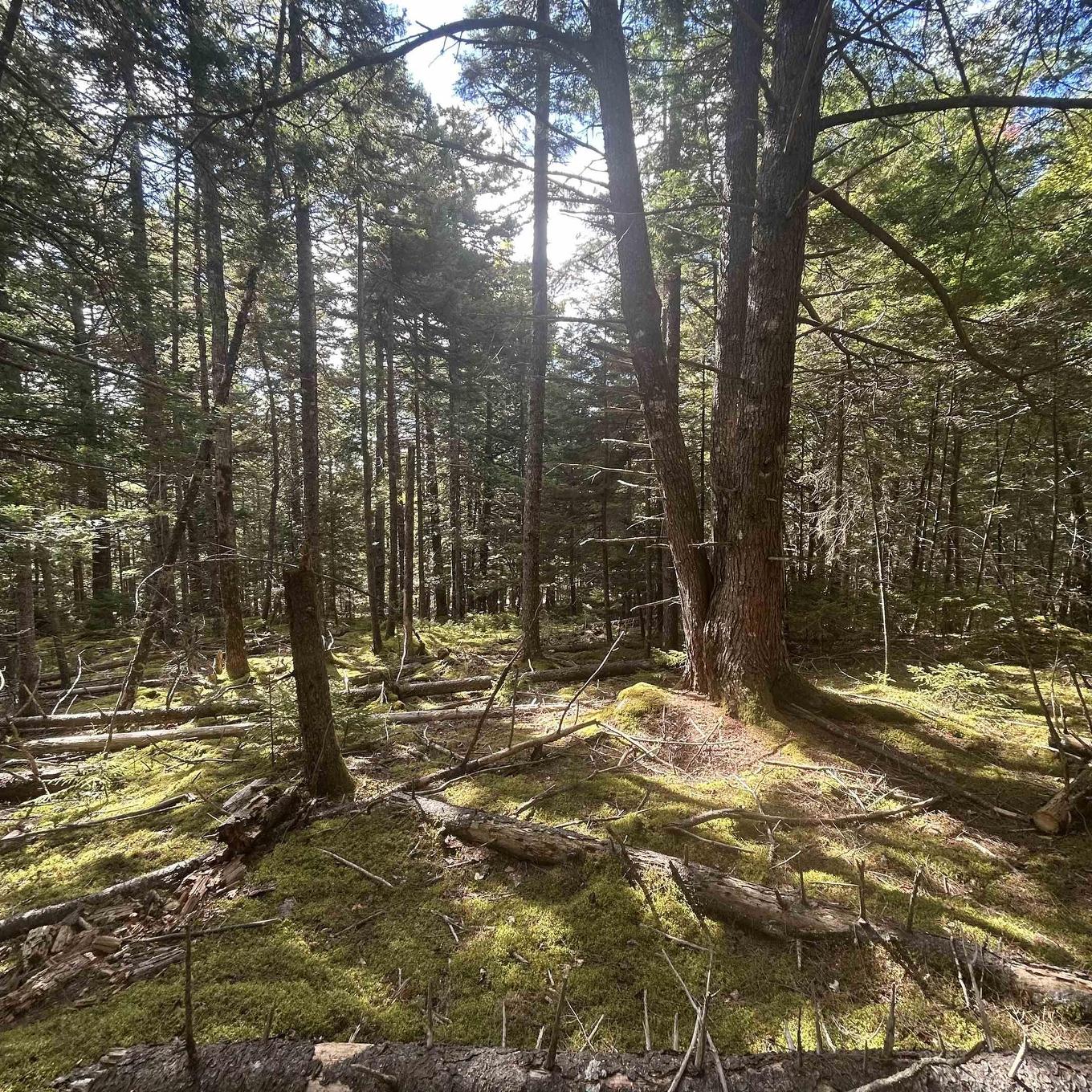 Lot 25-3 Conquerall Mills Road, Conquerall Mills, NS