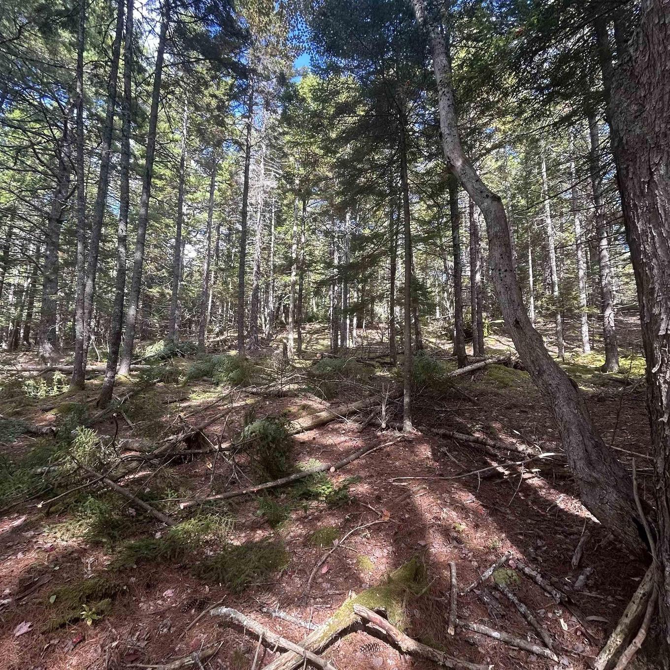 Lot 25-3 Conquerall Mills Road, Conquerall Mills, NS