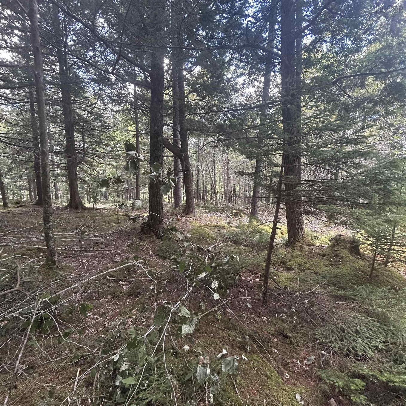 Lot 25-2 Conquerall Mills Road, Conquerall Mills, NS