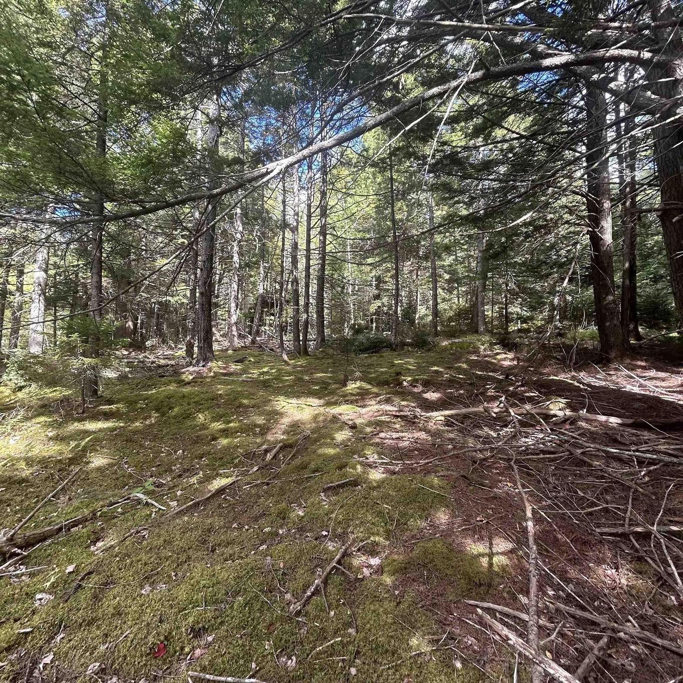 Lot 25-2 Conquerall Mills Road, Conquerall Mills, NS