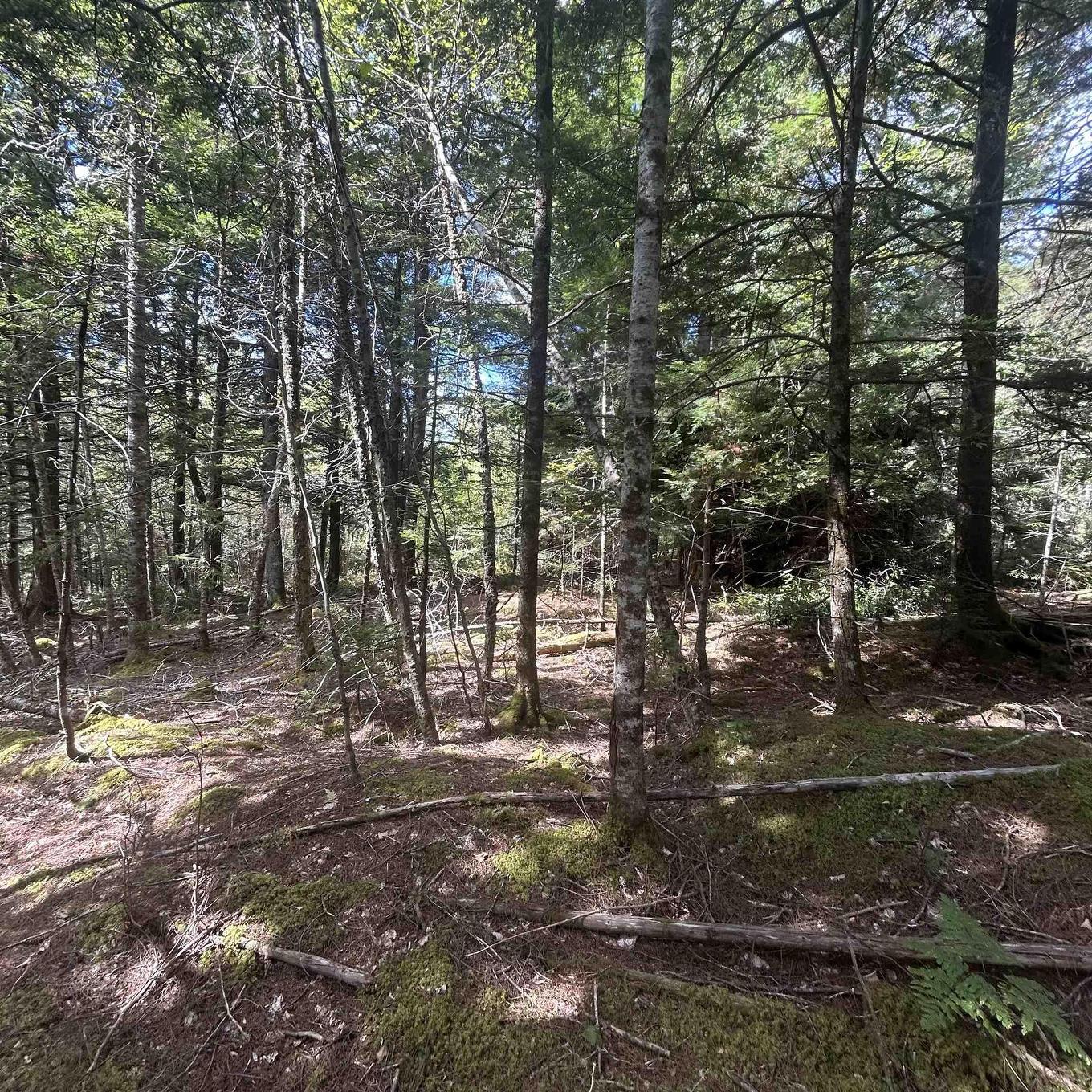 Lot 25-2 Conquerall Mills Road, Conquerall Mills, NS