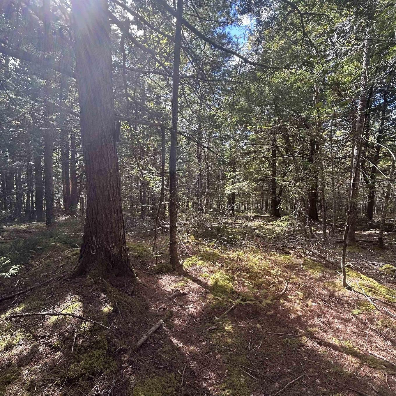 Lot 25-2 Conquerall Mills Road, Conquerall Mills, NS