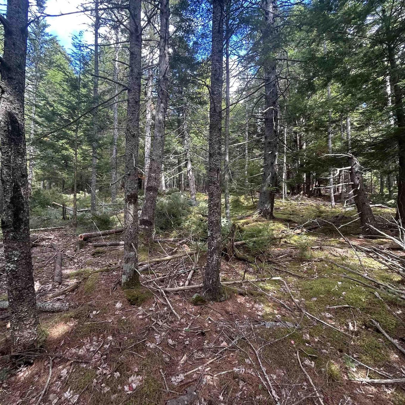 Lot 25-2 Conquerall Mills Road, Conquerall Mills, NS