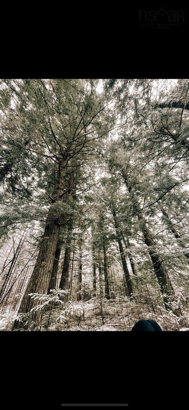 Lot B4 Cloverdale Road, Stewiacke East, NS