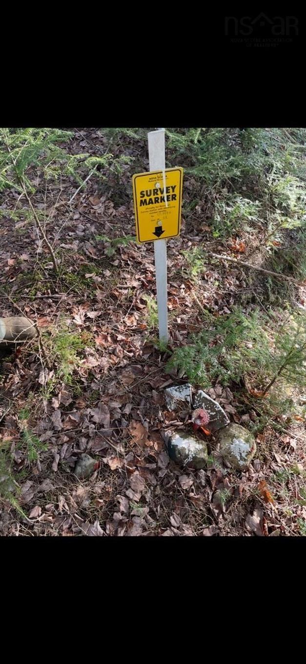 Lot B4 Cloverdale Road, Stewiacke East, NS