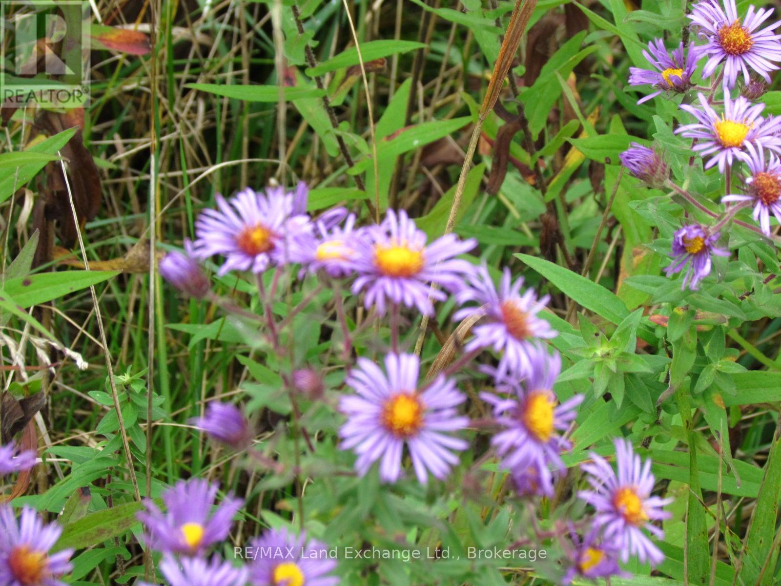 97 2 Bruce Twp. Concession, Kincardine, ON