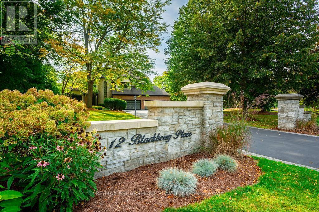 12 Blackberry Place, Hamilton, ON - Outdoor