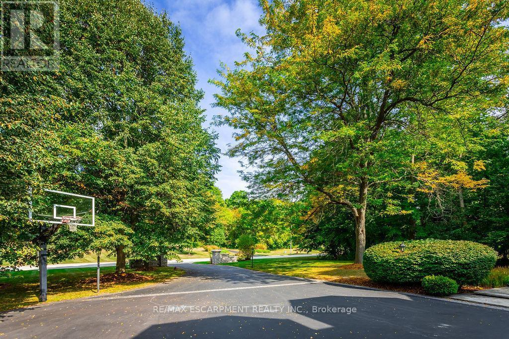 12 Blackberry Place, Hamilton, ON - Outdoor