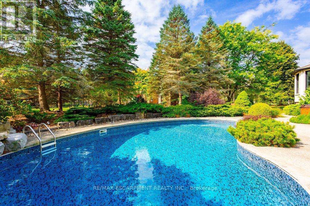 12 Blackberry Place, Hamilton, ON - Outdoor With In Ground Pool