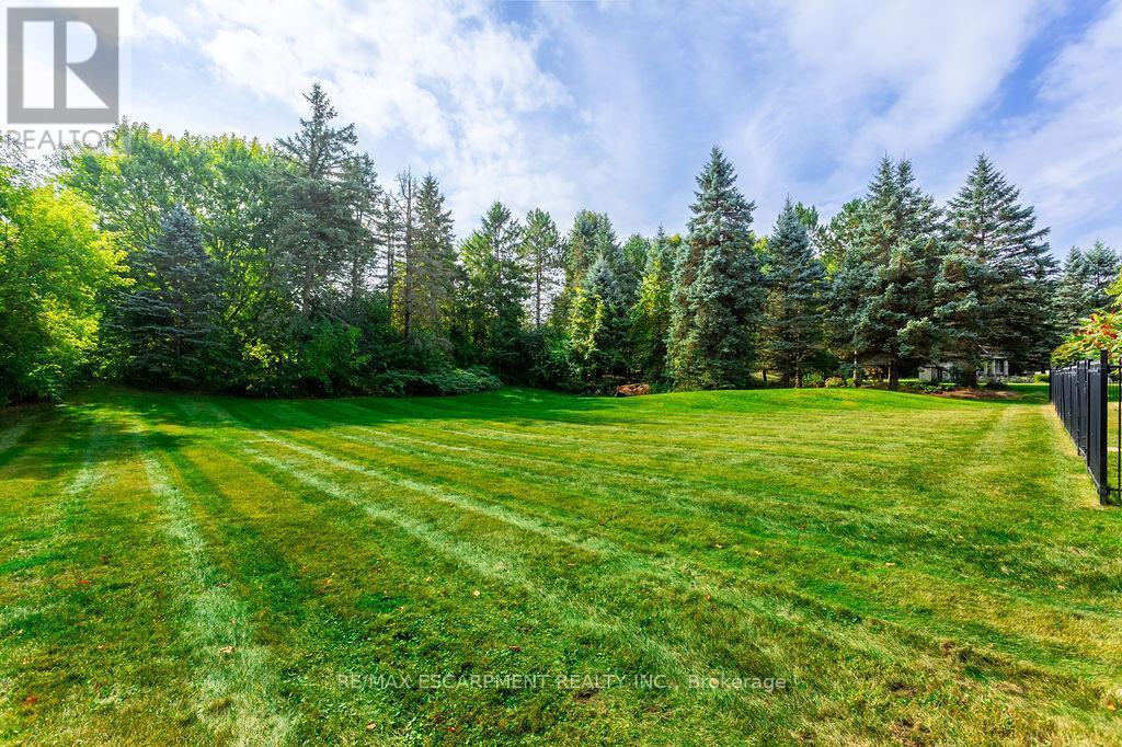 12 Blackberry Place, Hamilton, ON - Outdoor