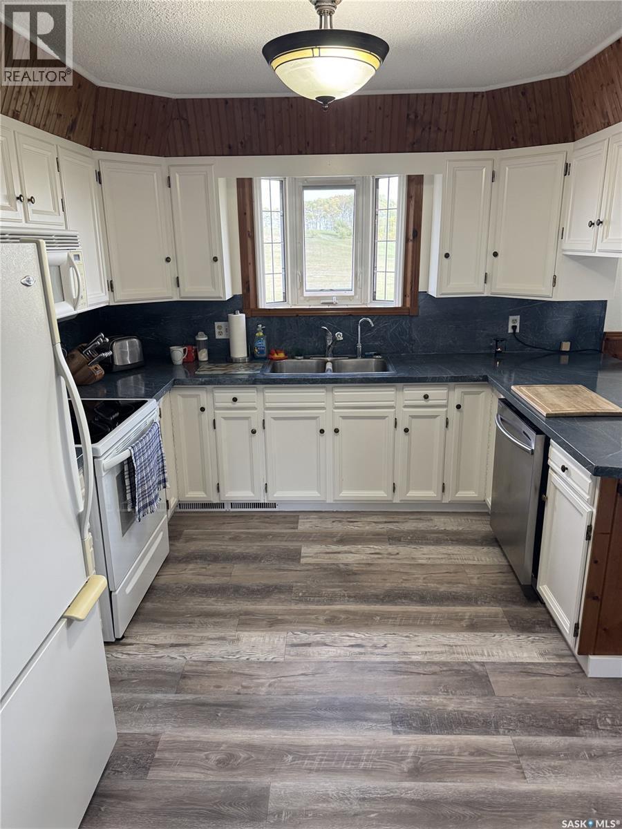 203 Macdonald Street, Stockholm, SK - Indoor Photo Showing Kitchen With Double Sink