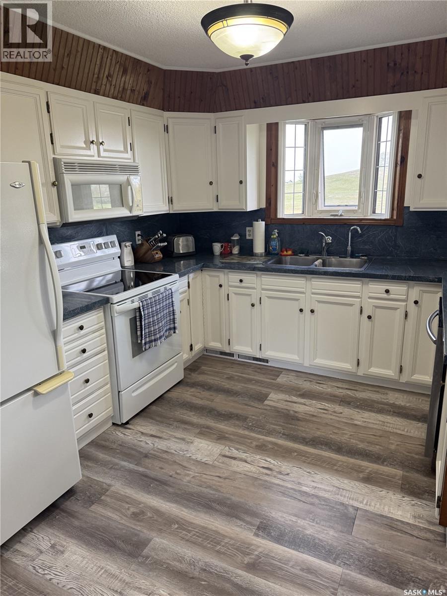 203 Macdonald Street, Stockholm, SK - Indoor Photo Showing Kitchen With Double Sink