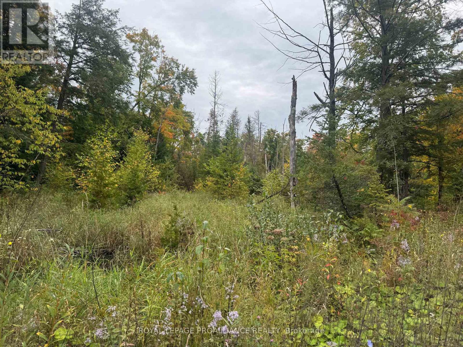 0 Devils Four Mile Road W, Havelock-Belmont-Methuen, ON