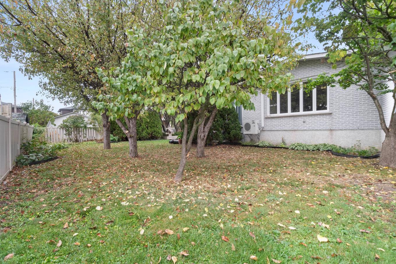 Garden - 3018 Rue William, Longueuil (Saint-Hubert), QC - Outdoor