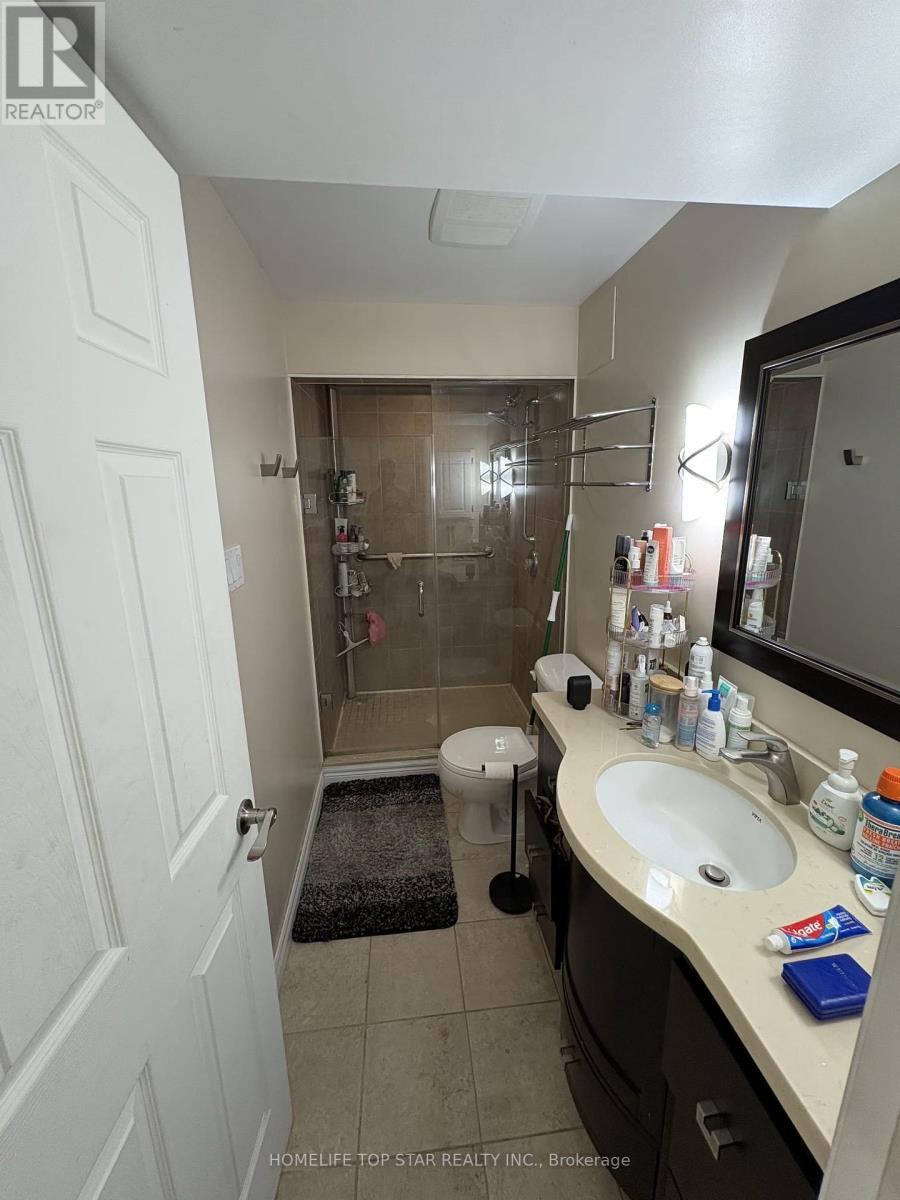 Basement - 47 Cooper Creek Court W, Vaughan, ON - Indoor Photo Showing Bathroom