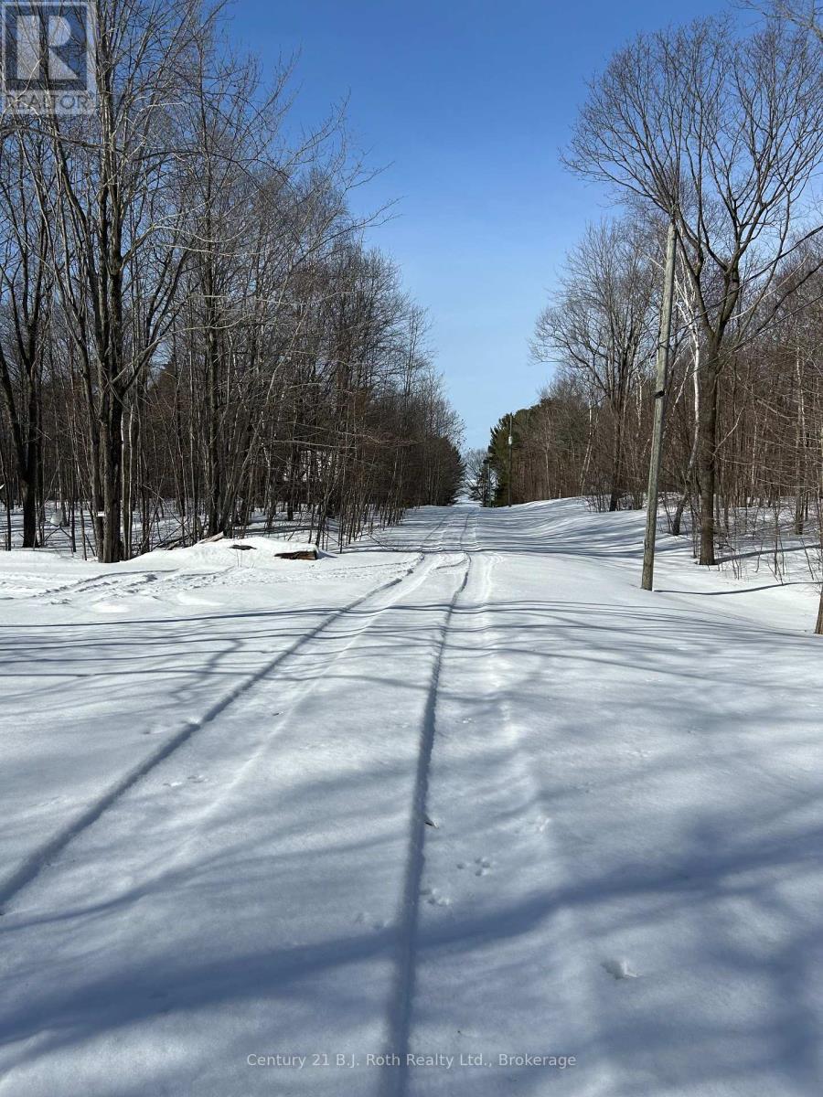 Road leading to Beach - 1 Waagosh Miikans Lane W, Christian Island 30 (Beausoleil First Nation), ON - Outdoor With View