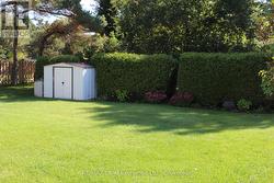 Immediate rear yard -