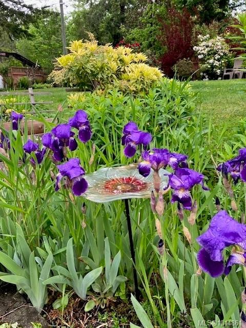 1870 Munsie Rd, Shawnigan Lake, BC