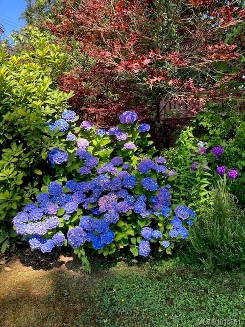 1870 Munsie Rd, Shawnigan Lake, BC