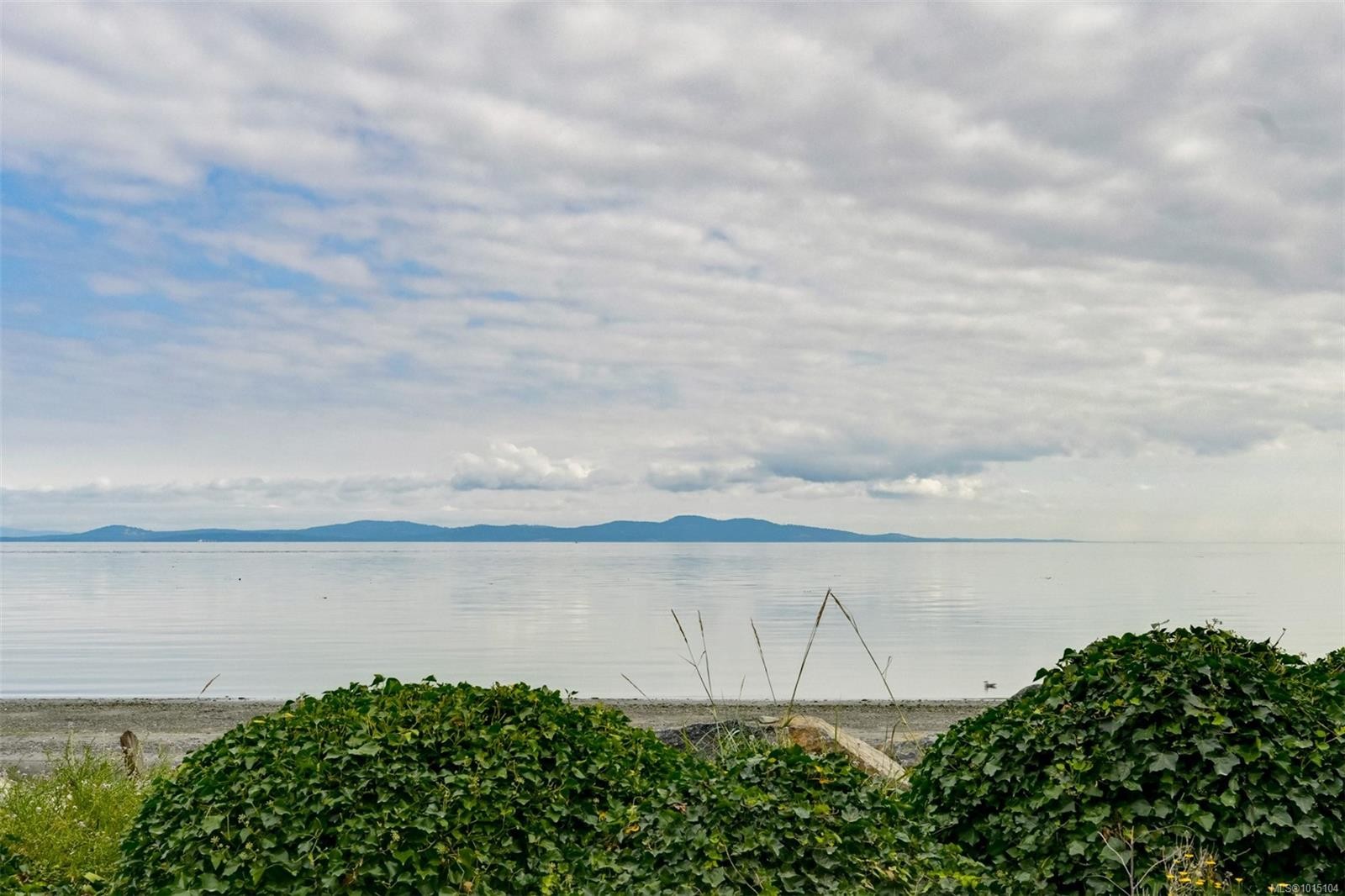 5037 Cordova Bay Rd, Saanich, BC