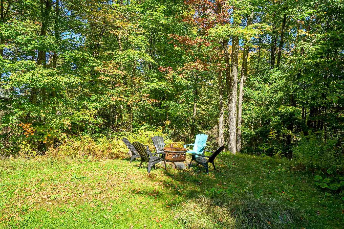 Backyard - 1507 Rue Des Bécassines, Sainte-Adèle, QC - Outdoor