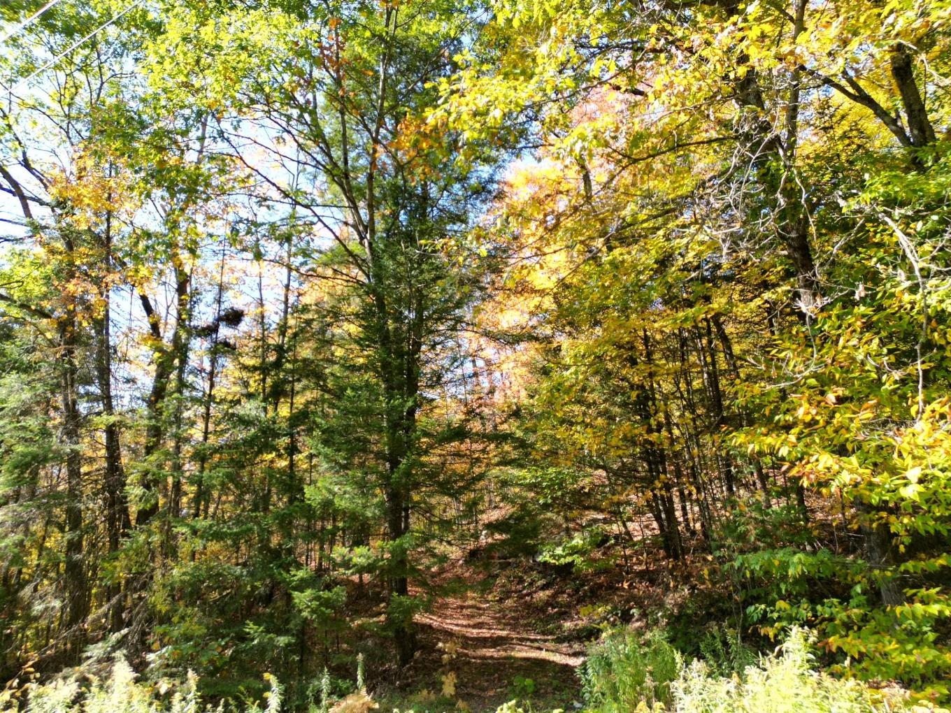 Terre/Terrain - 56 Ch. Du Mica, Val-Des-Monts, QC