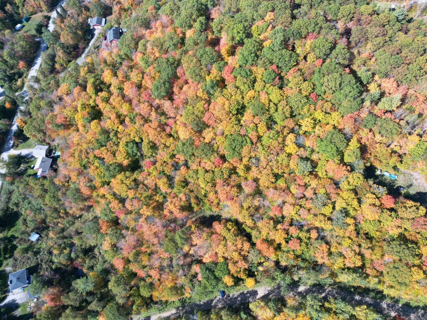 Photo aérienne - 56 Ch. Du Mica, Val-Des-Monts, QC