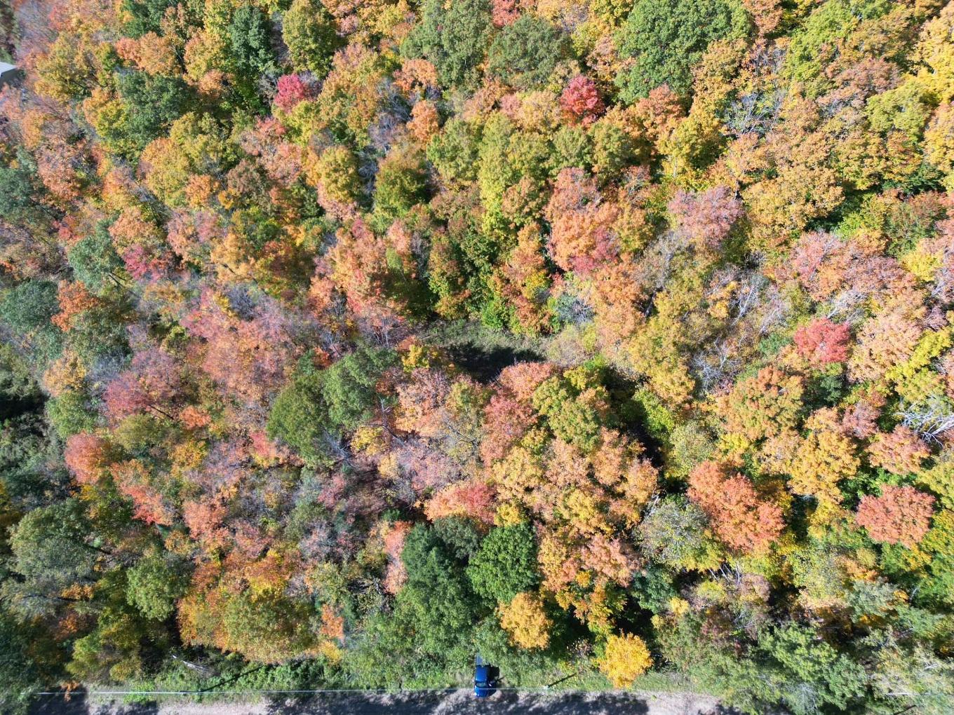 Photo aérienne - 56 Ch. Du Mica, Val-Des-Monts, QC